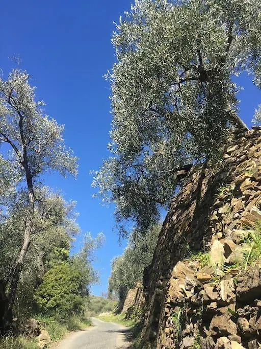 Apartment Casa Renata In Ripalta Dolcedo