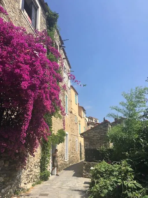 Apartment Casa Renata In Ripalta Dolcedo Italy